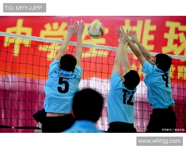 南京排球队的崛起与发展探索聚焦排球运动的力量与未来潜力